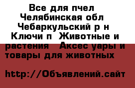 Все для пчел - Челябинская обл., Чебаркульский р-н, Ключи п. Животные и растения » Аксесcуары и товары для животных   